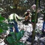 Pengabdian Masyarakat UPN 'Veteran' Peningkatan Kapasitas Digital Marketing dalam Ekowisata Mangrove